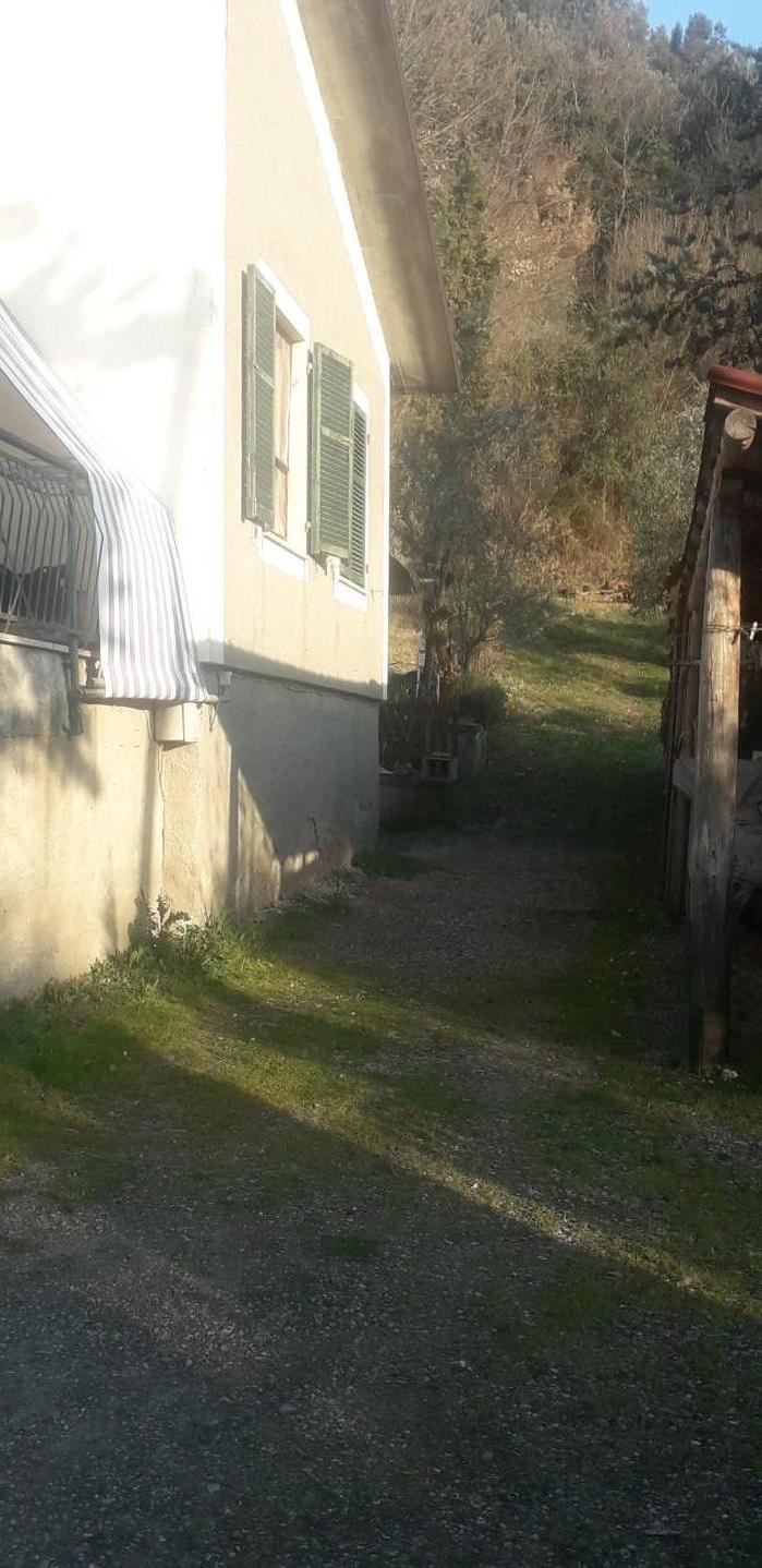 Foto annuncio 10
