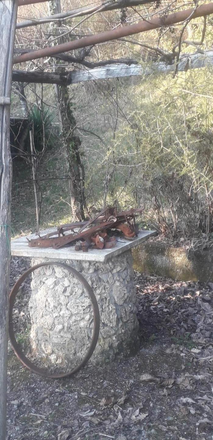 Foto annuncio 33