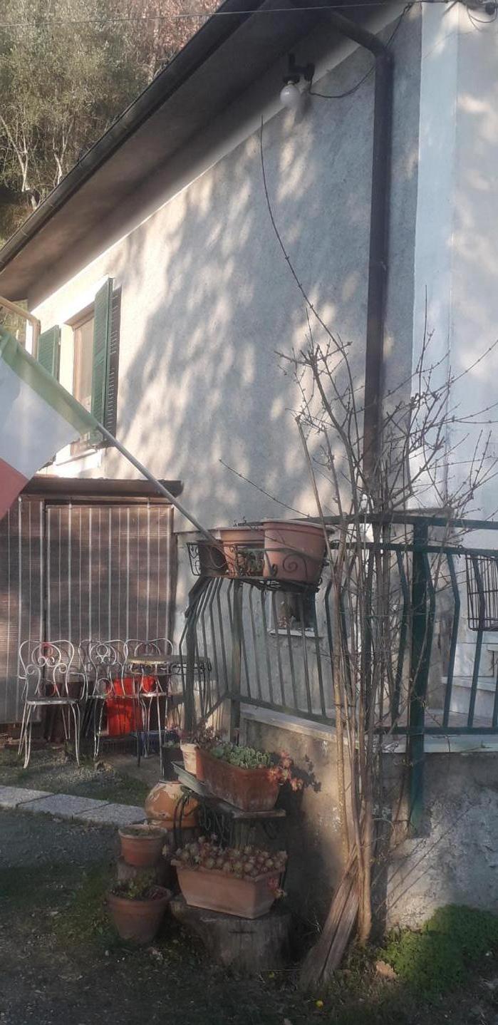 Foto annuncio 11