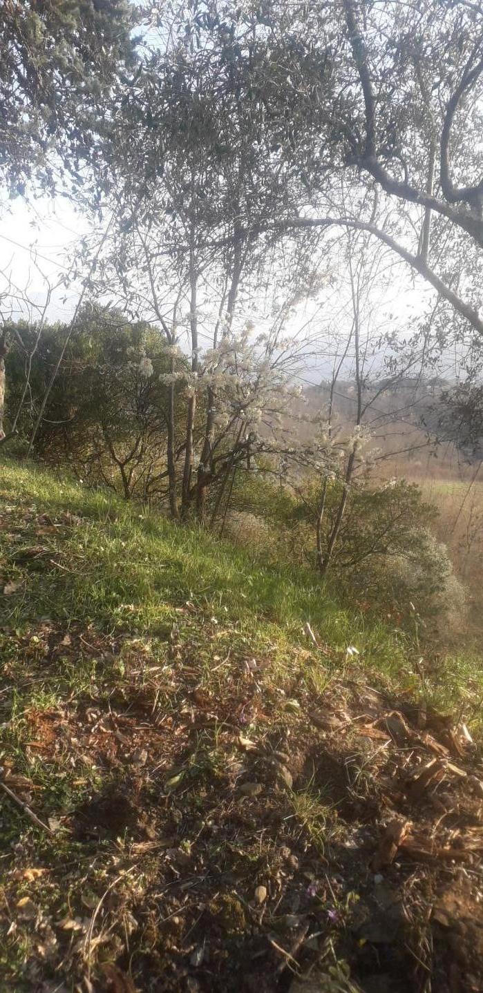 Foto annuncio 32