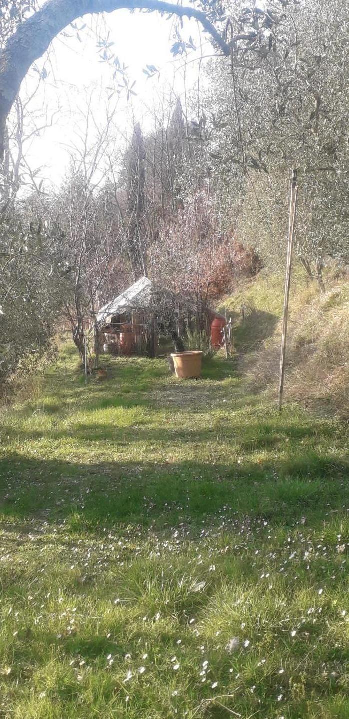 Foto annuncio 34