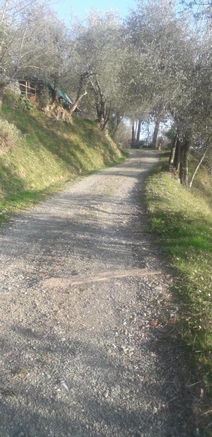 Foto annuncio 29