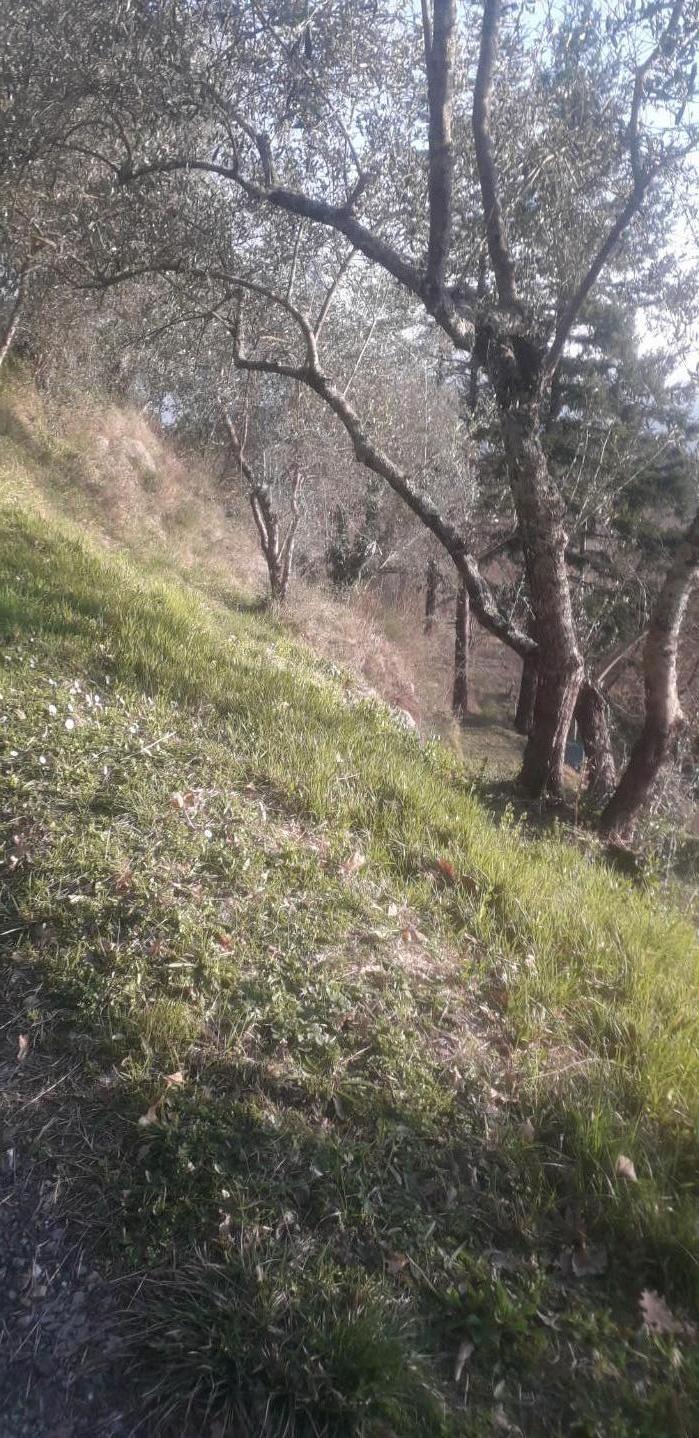 Foto annuncio 30
