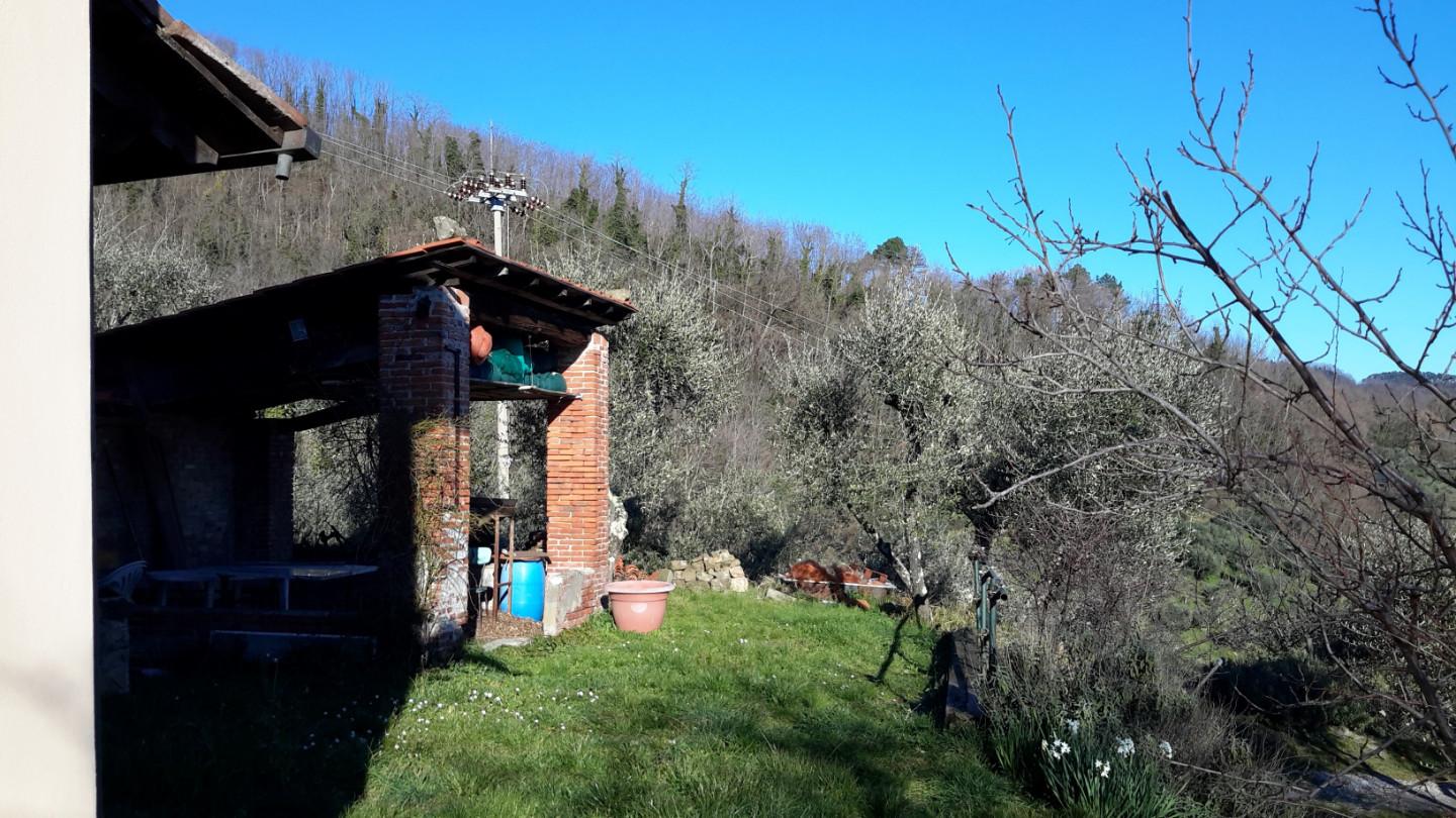 Foto annuncio 1