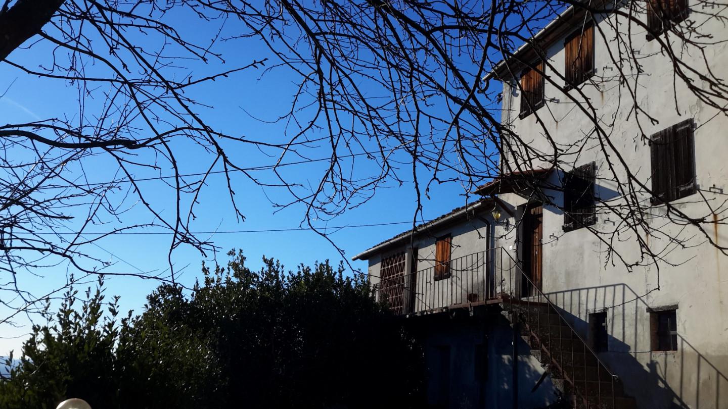 Foto annuncio 4