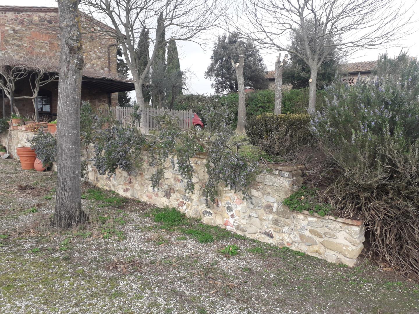 Foto annuncio 7