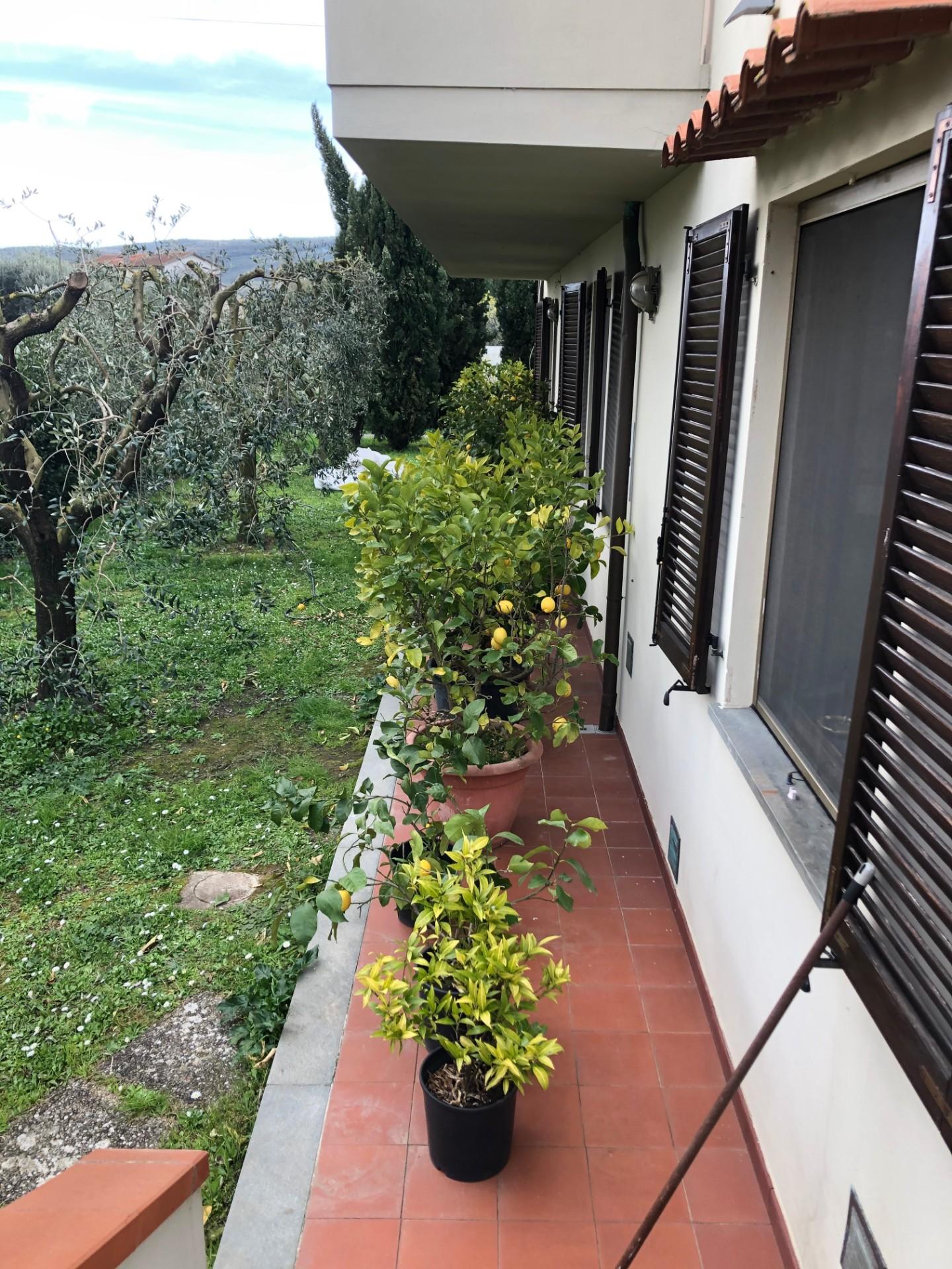 Immagine 41 di Casa indipendente in vendita  a San Giuliano Terme