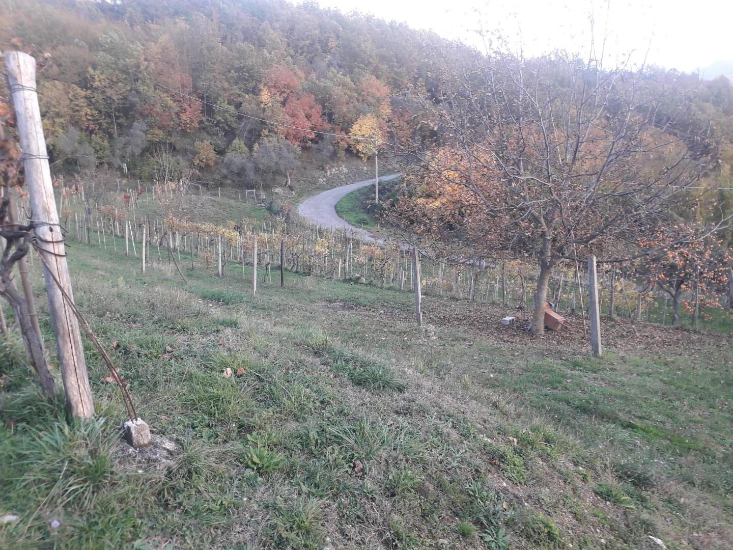 Foto annuncio 28