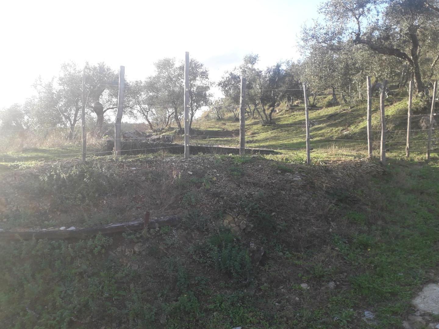Foto annuncio 26