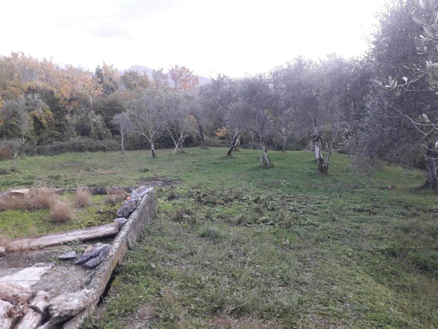 Foto annuncio 27