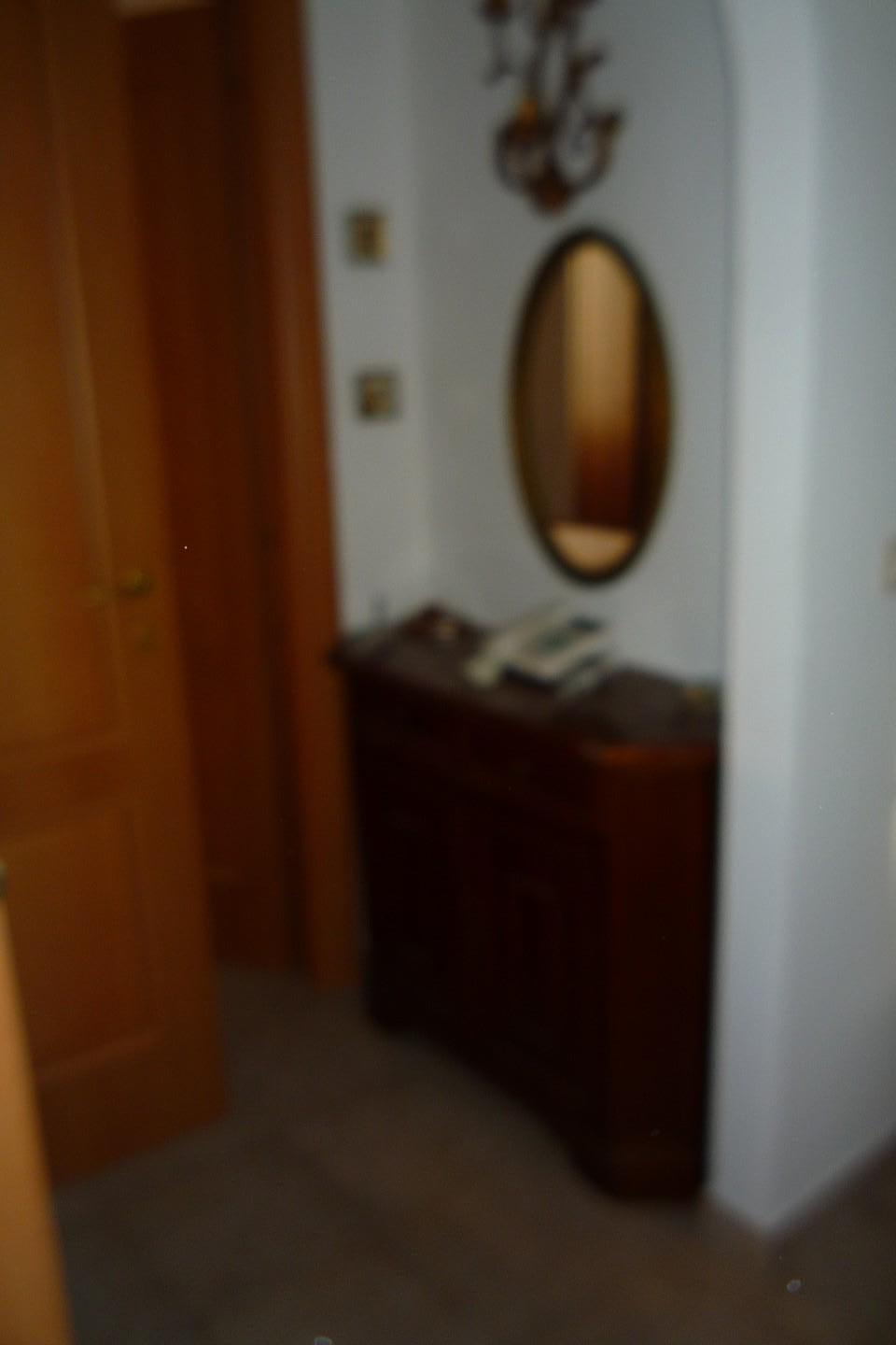 Immagine 6 di Appartamento in vendita  a Carrara