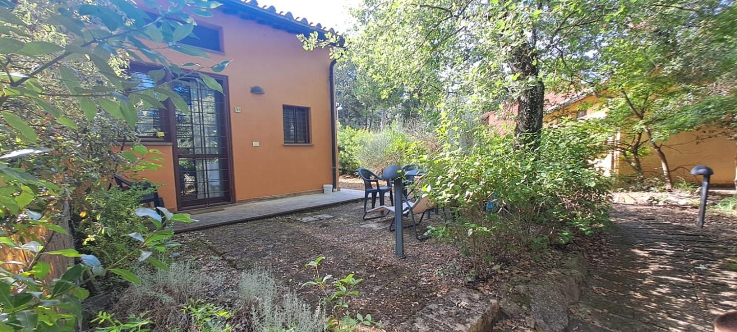 Foto annuncio 11