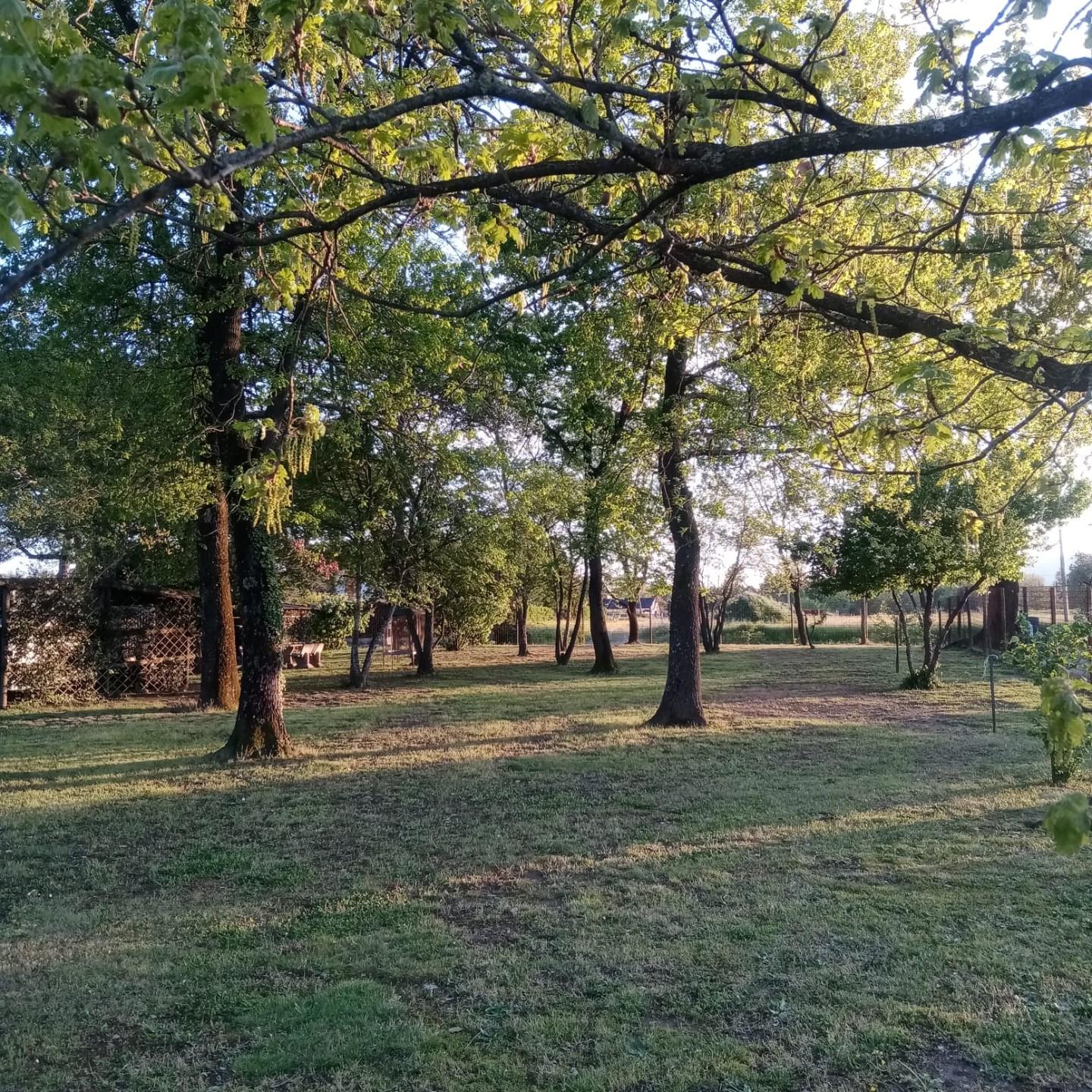 Immagine 12 di Appartamento in affitto  a Castelfranco Di Sotto