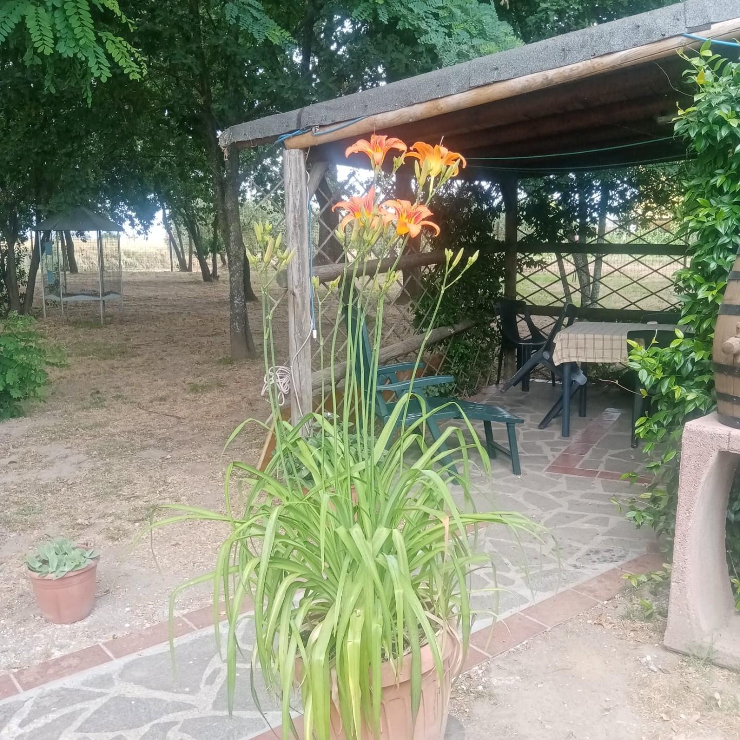 Immagine 11 di Appartamento in affitto  a Castelfranco Di Sotto