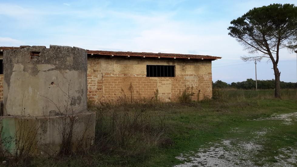 Foto annuncio 6