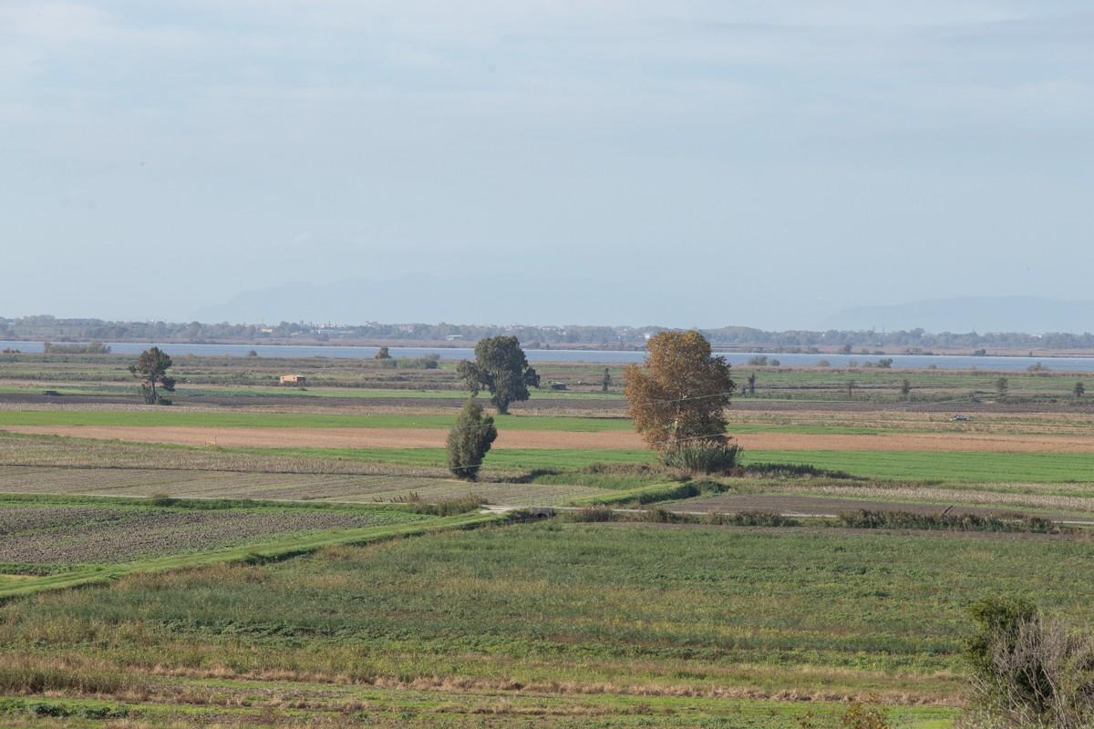 Immagine 20 di Albergo/B&B/Residence in vendita  a Pisa