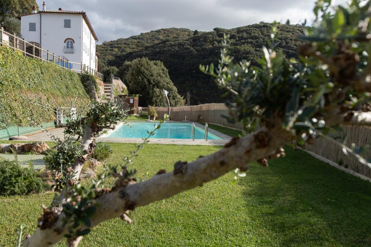 Immagine 2 di Albergo/B&B/Residence in vendita  a Pisa