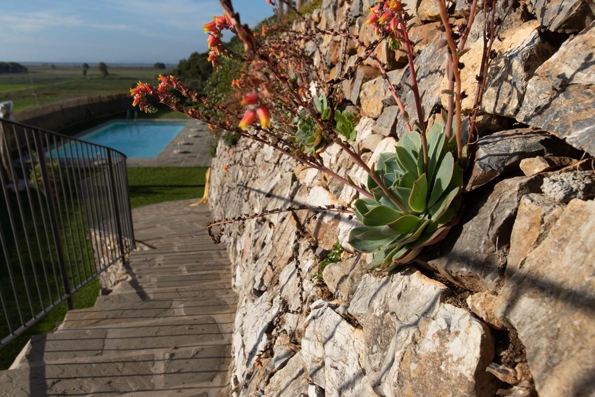 Immagine 65 di Albergo/B&B/Residence in vendita  a Pisa