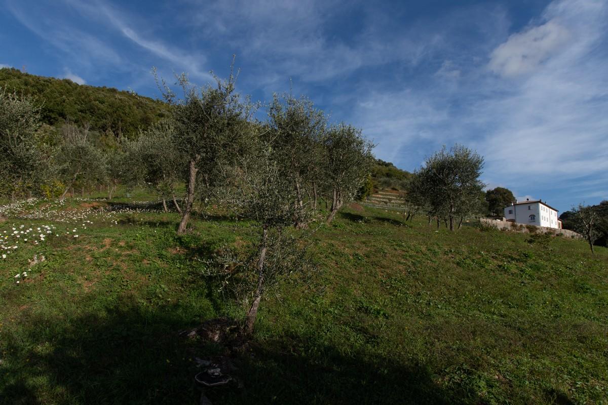 Immagine 62 di Albergo/B&B/Residence in vendita  a Pisa