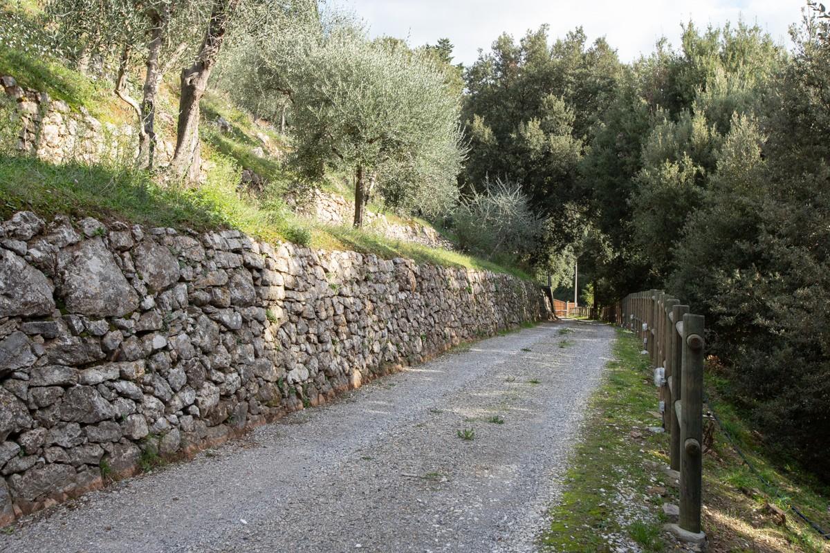 Immagine 18 di Albergo/B&B/Residence in vendita  a Pisa