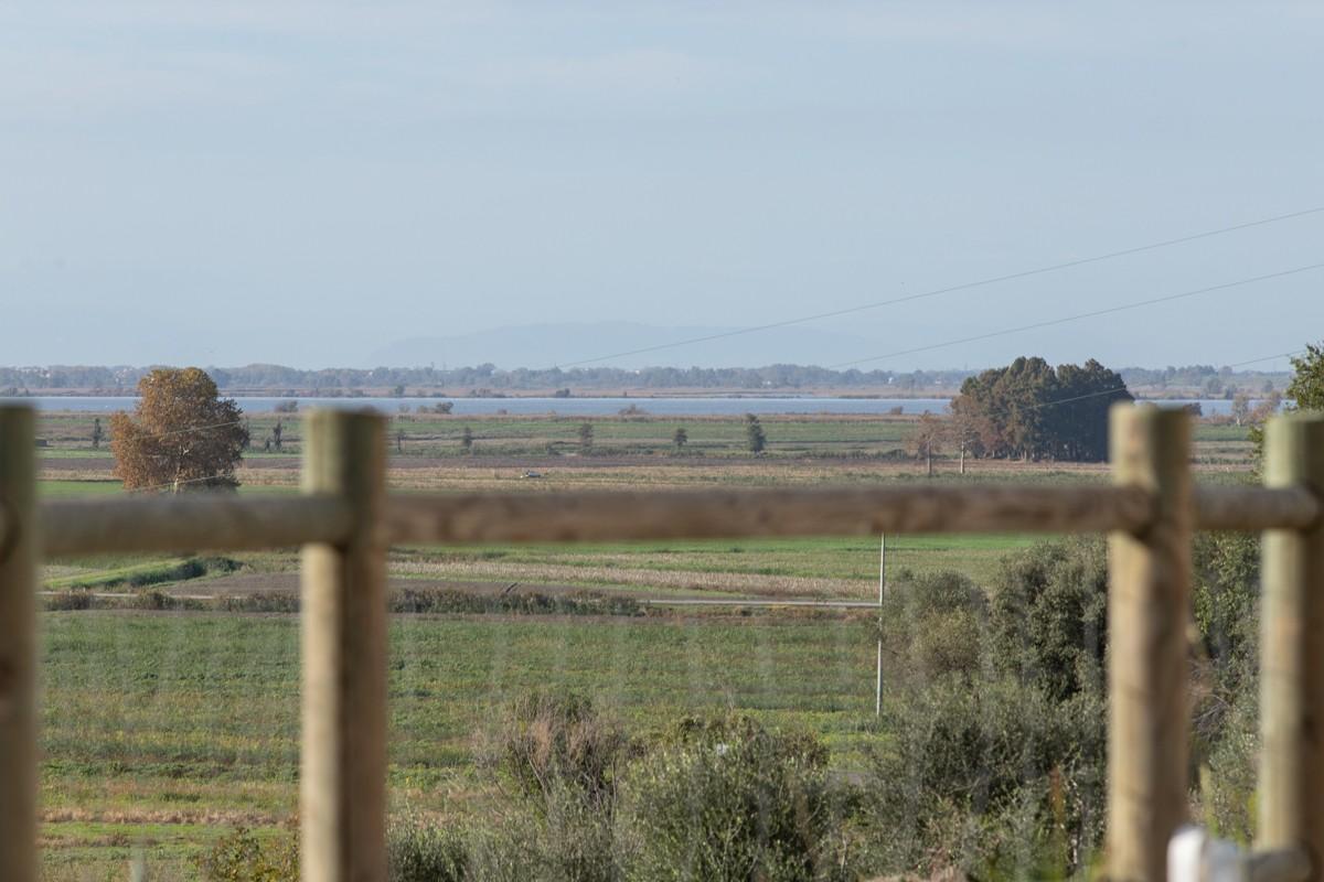 Immagine 21 di Albergo/B&B/Residence in vendita  a Pisa