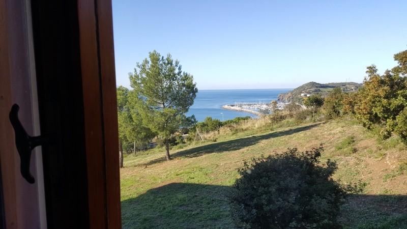 Foto annuncio 21