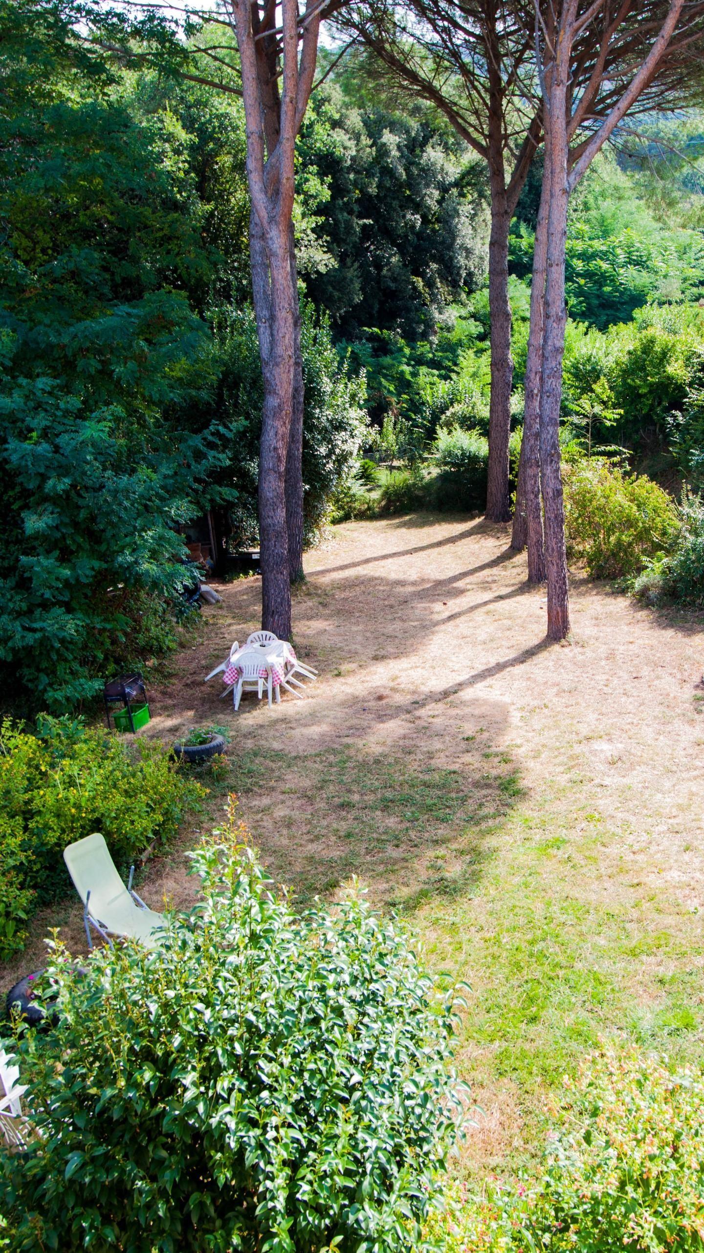 Immagine 13 di Rustico / casale in vendita  a Calci