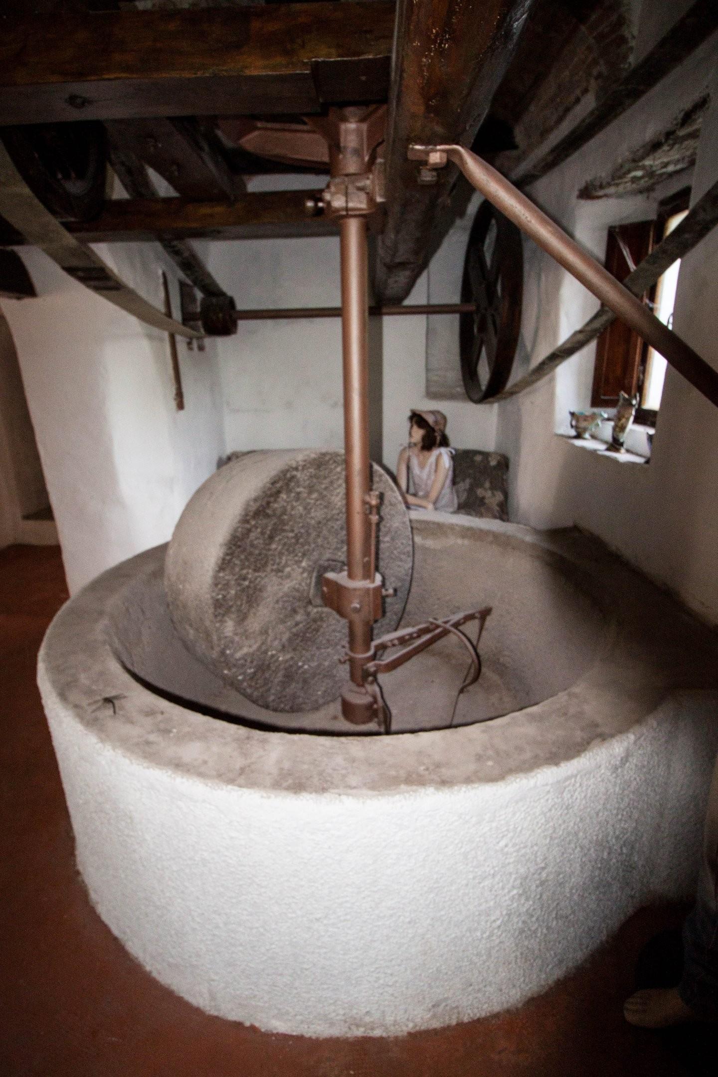 Immagine 19 di Rustico / casale in vendita  a Calci