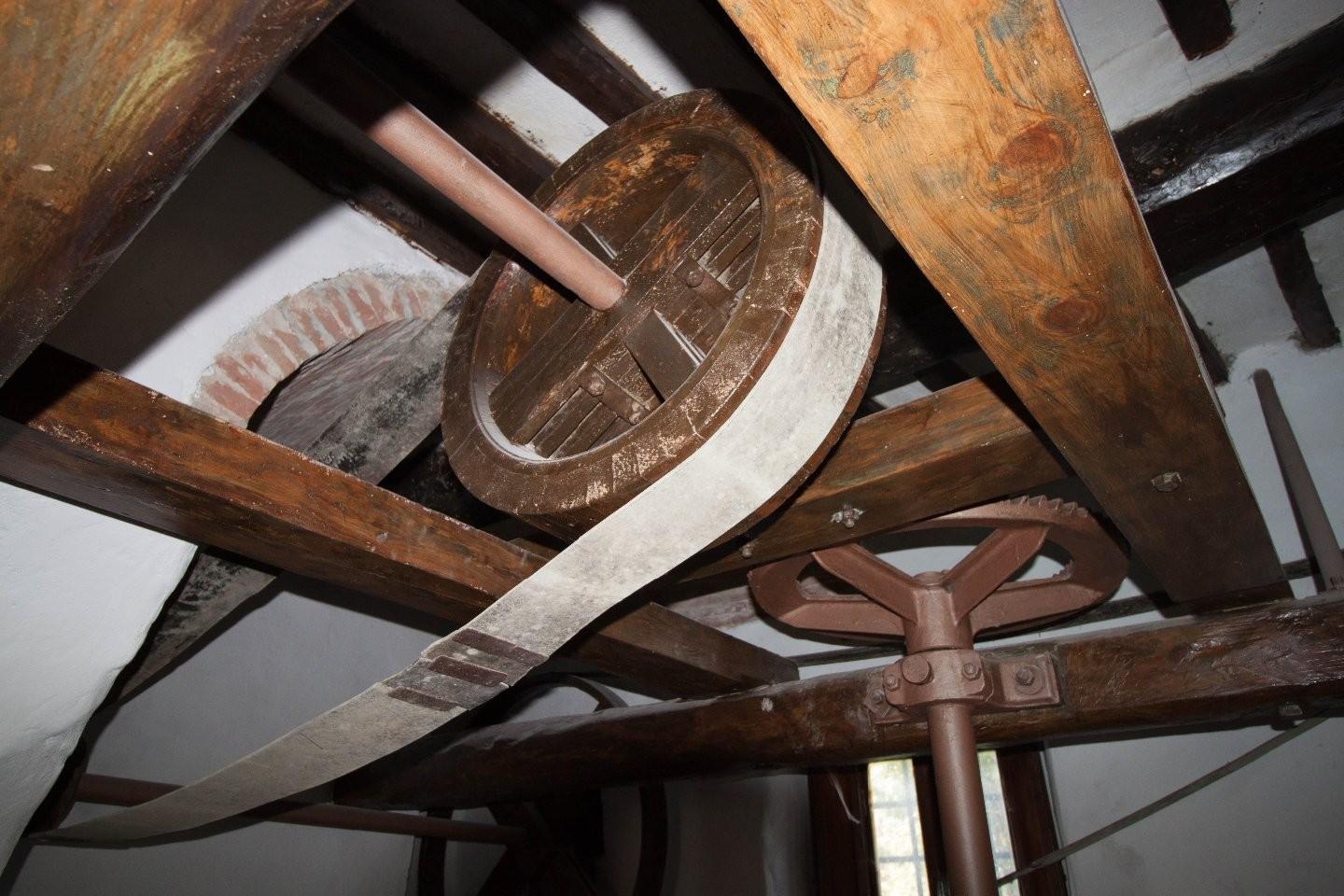 Immagine 10 di Rustico / casale in vendita  a Calci