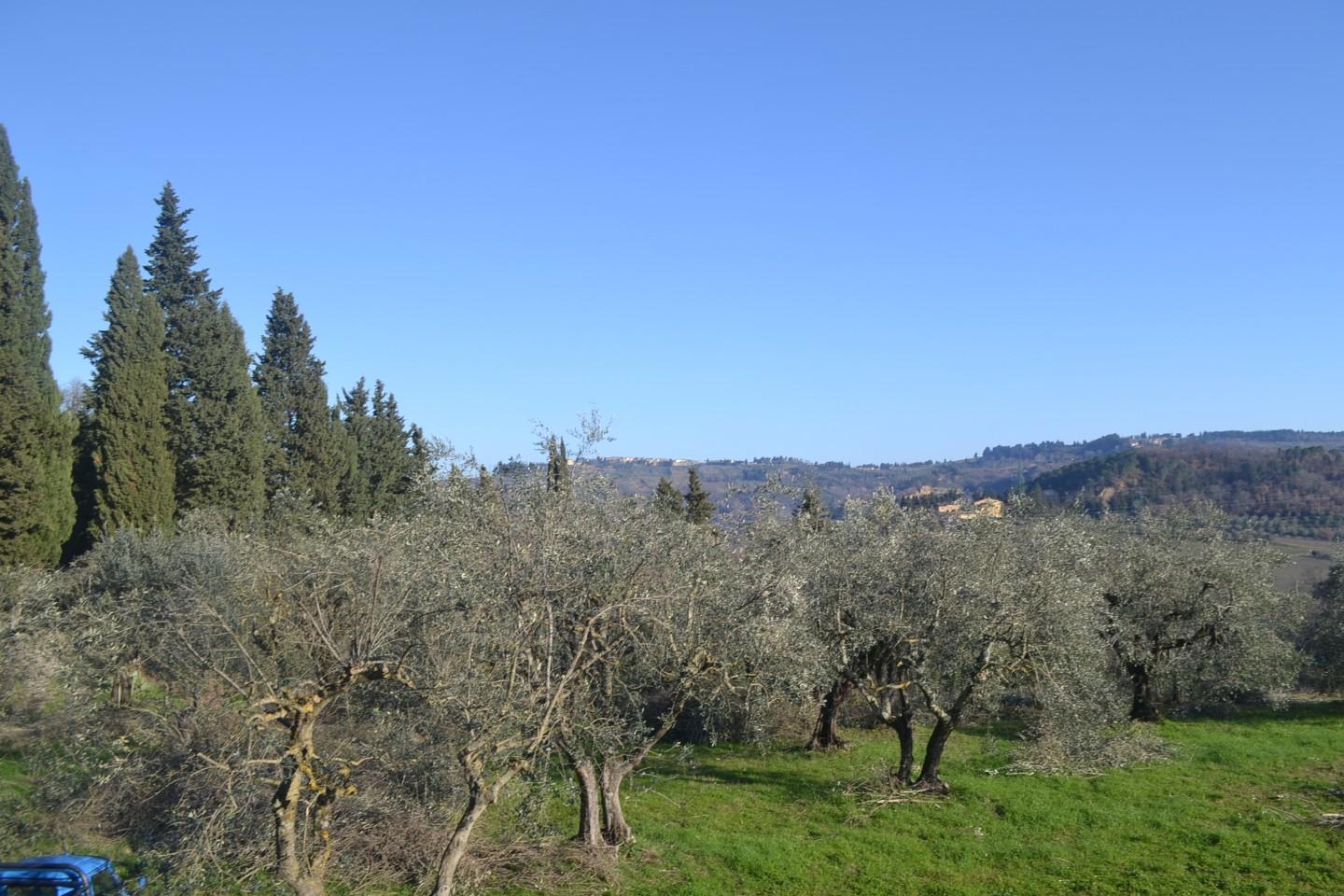 Foto annuncio 10
