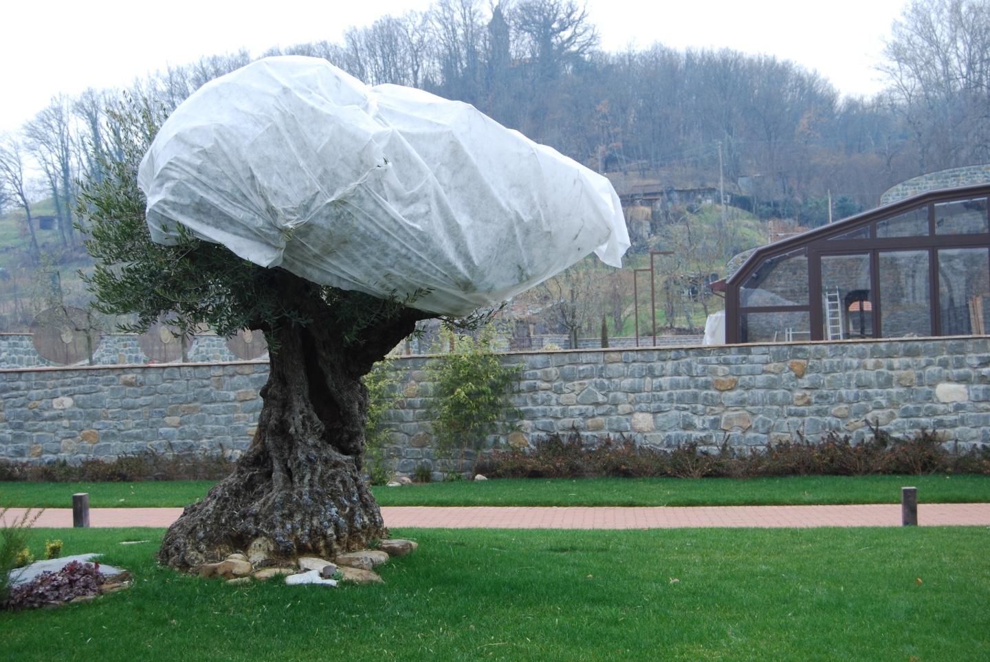 Immagine 43 di Albergo/B&B/Residence in vendita  a Villafranca In Lunigiana