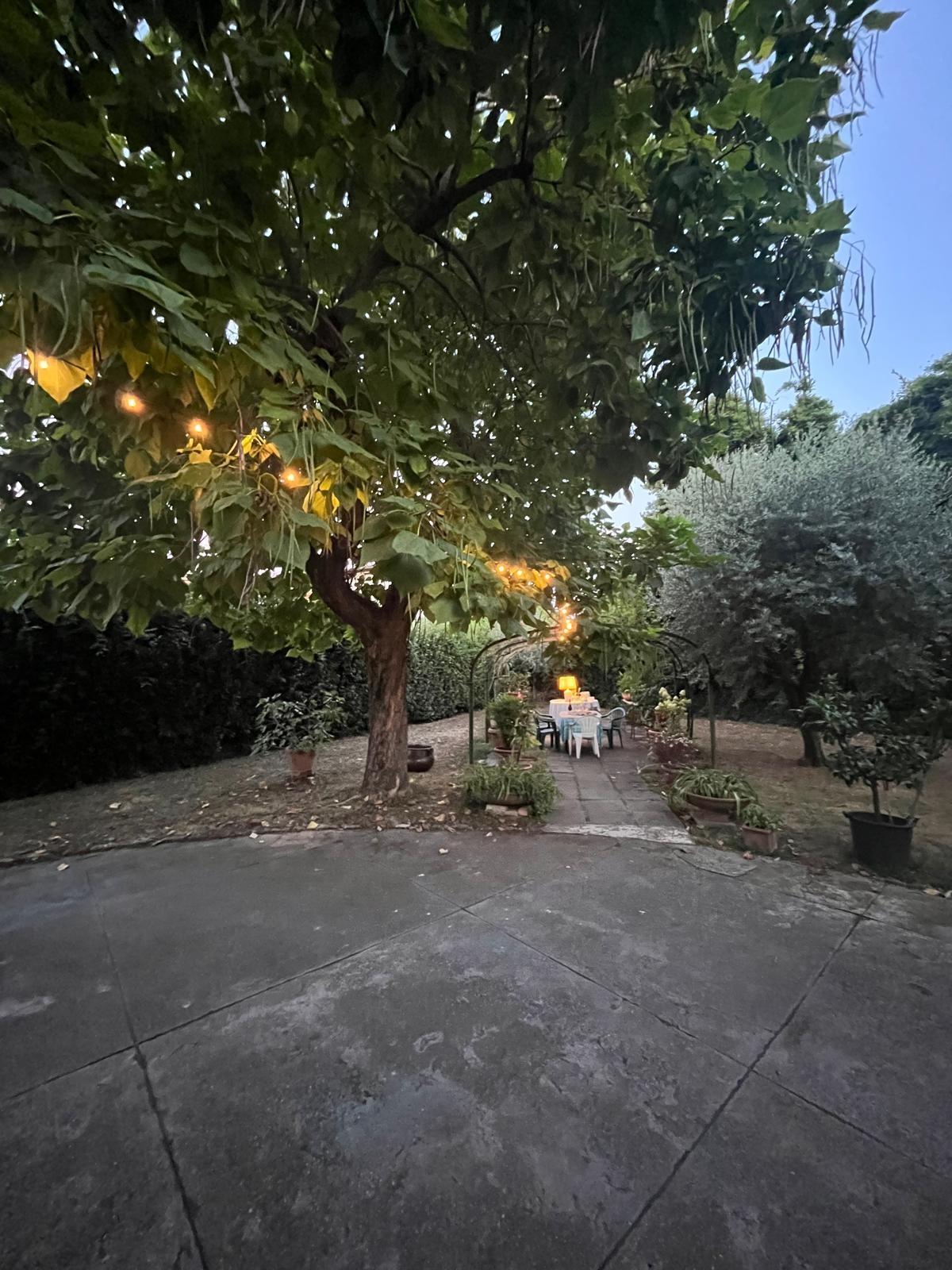 Foto annuncio 81