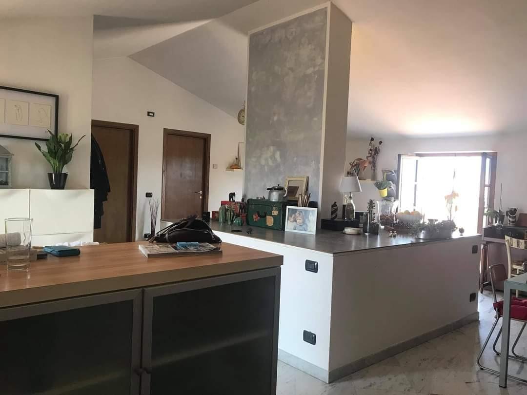 Immagine 4 di Villa in vendita  a Carrara