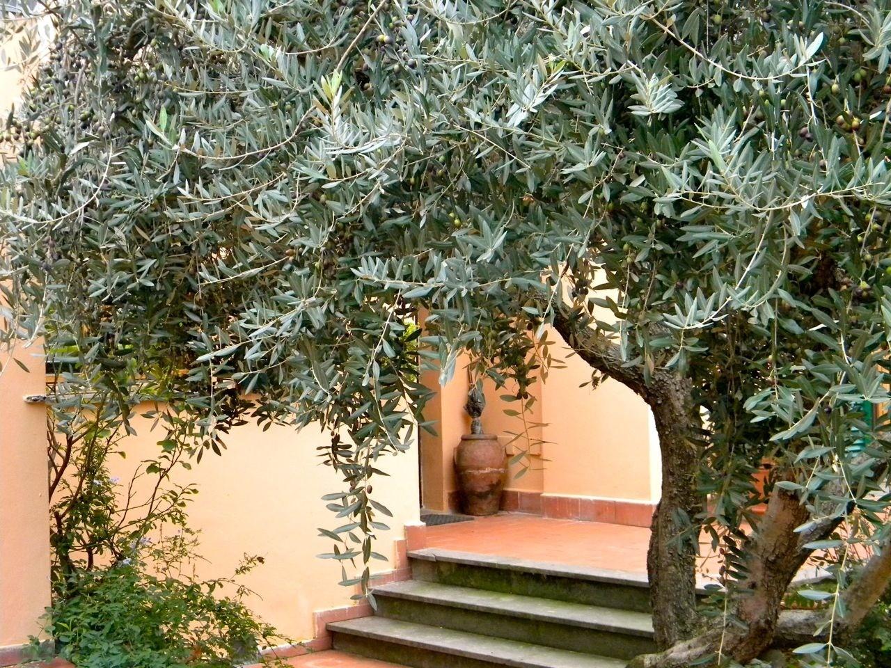 Immagine 8 di Villa in vendita  a San Giuliano Terme