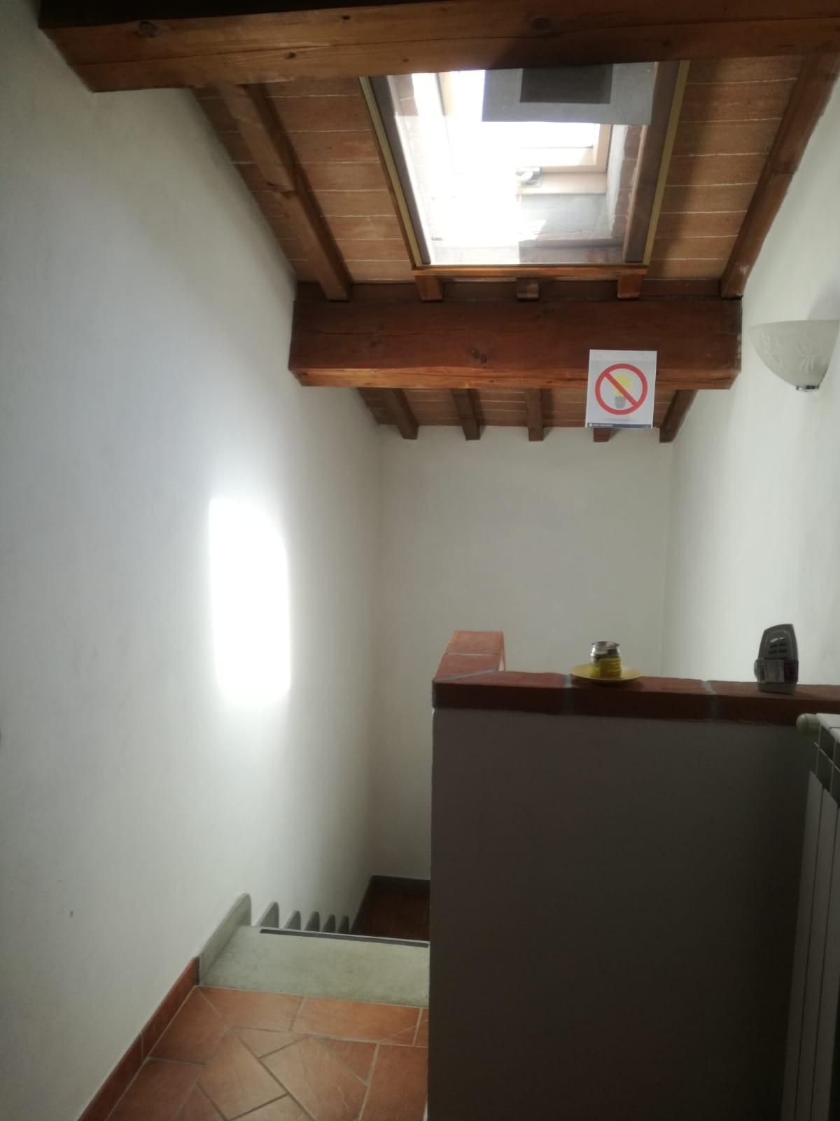 Foto annuncio 7