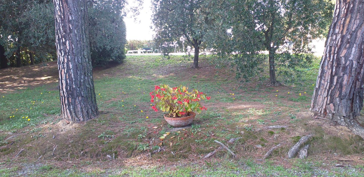 Foto annuncio 10