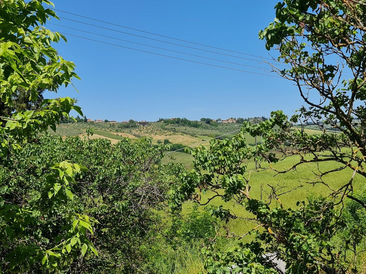 Immagine 2 di Villa in vendita  a Poggibonsi