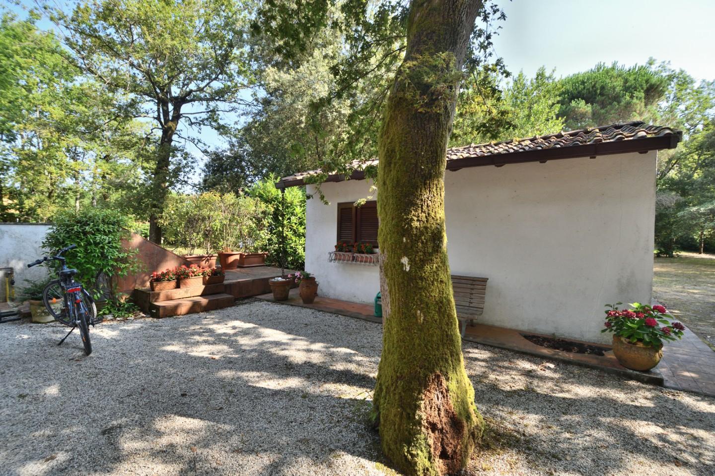 Foto annuncio 5