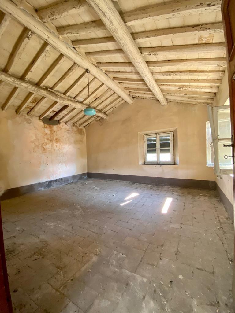 Immagine 29 di Rustico / casale in vendita  a Capannori