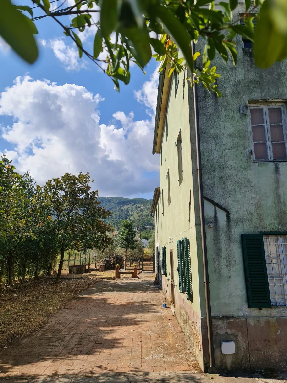 Immagine 5 di Rustico / casale in vendita  a Capannori