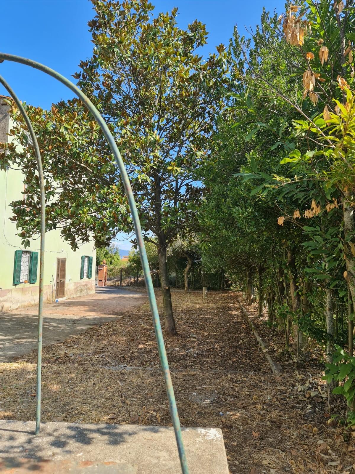 Immagine 7 di Rustico / casale in vendita  a Capannori