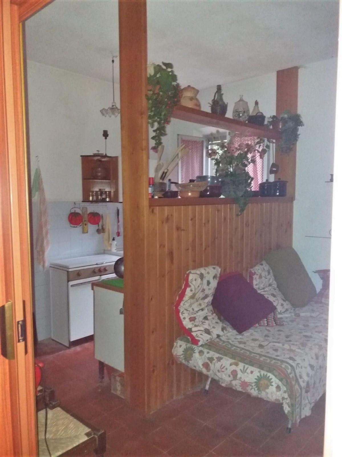 Foto annuncio 7
