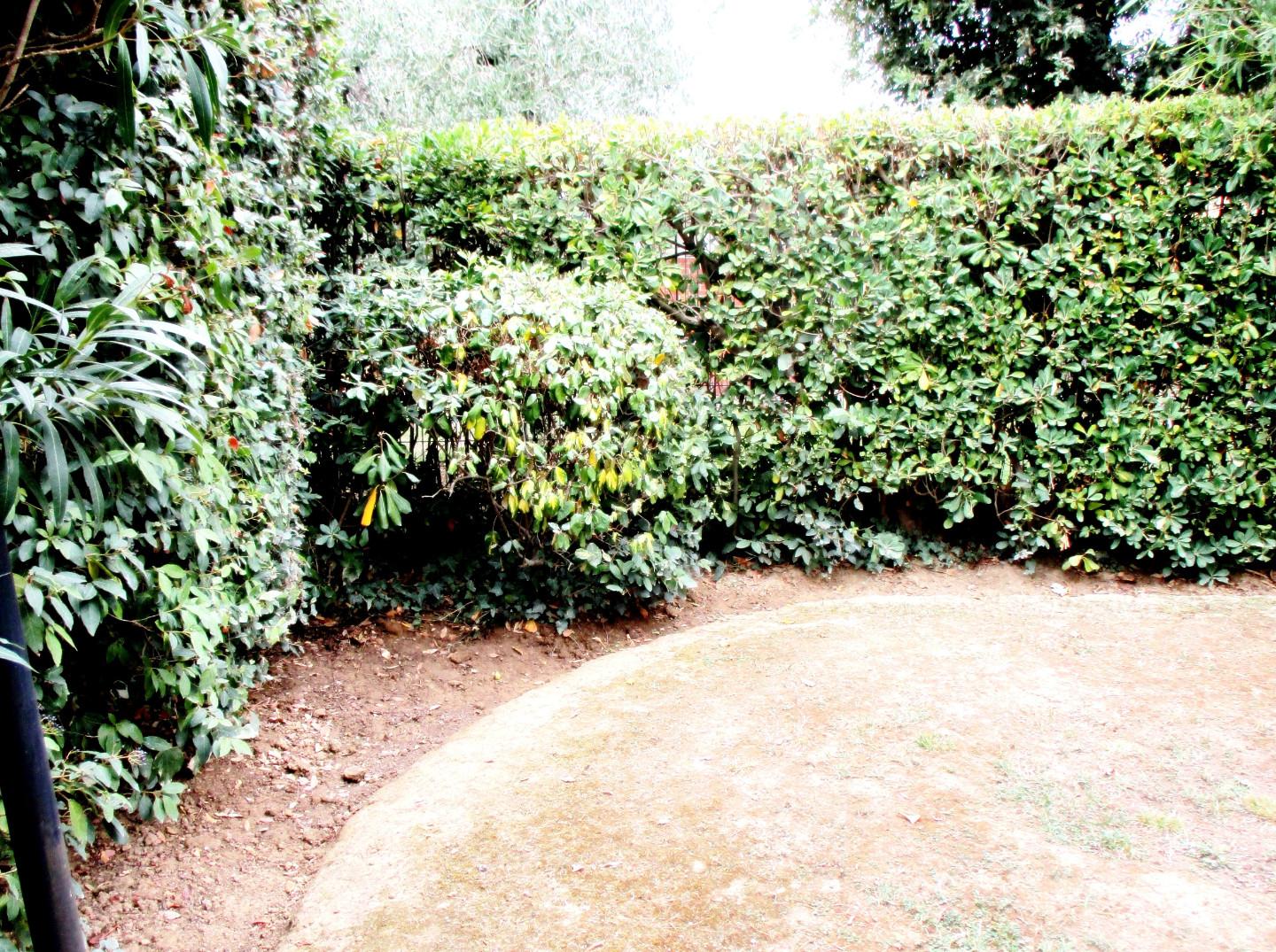 Immagine 6 di Casa bifamiliare in vendita  a Pontedera