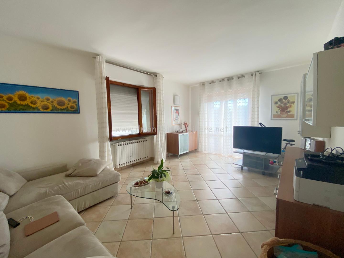 Immagine 5 di Appartamento in vendita  a Rosignano Marittimo