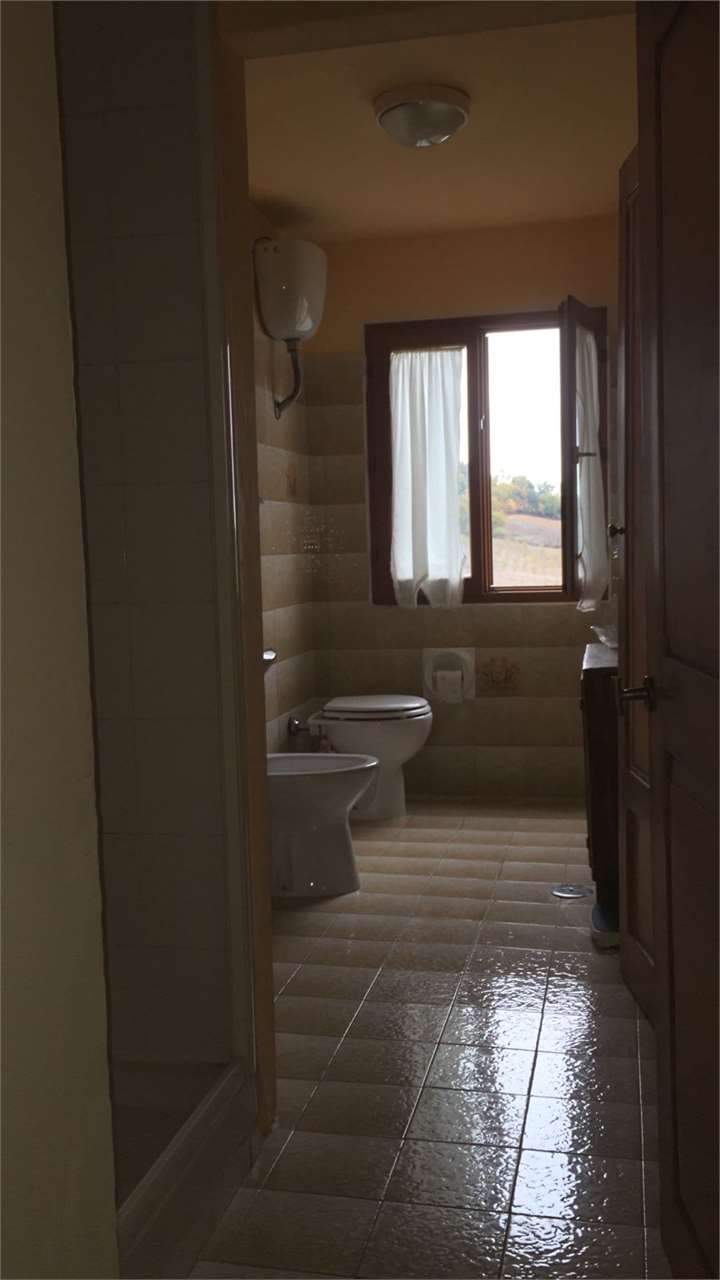 Immagine 9 di Appartamento in vendita  a Casole D'elsa