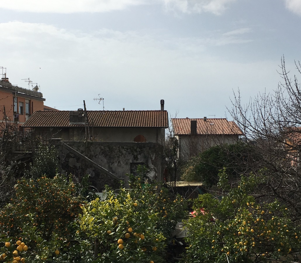 Immagine 1 di Appartamento in vendita  a Massa