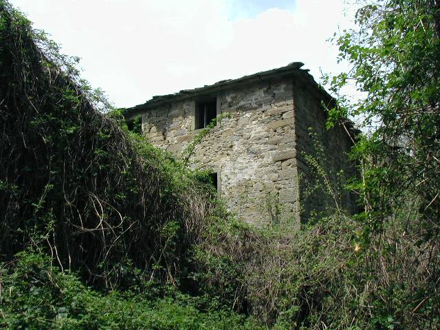Foto annuncio 1