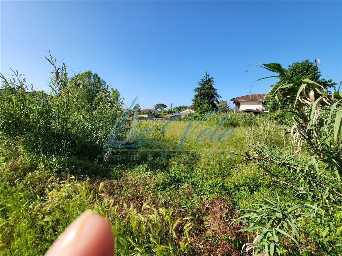 Immagine 3 di Terreno agricolo in vendita  a Massa