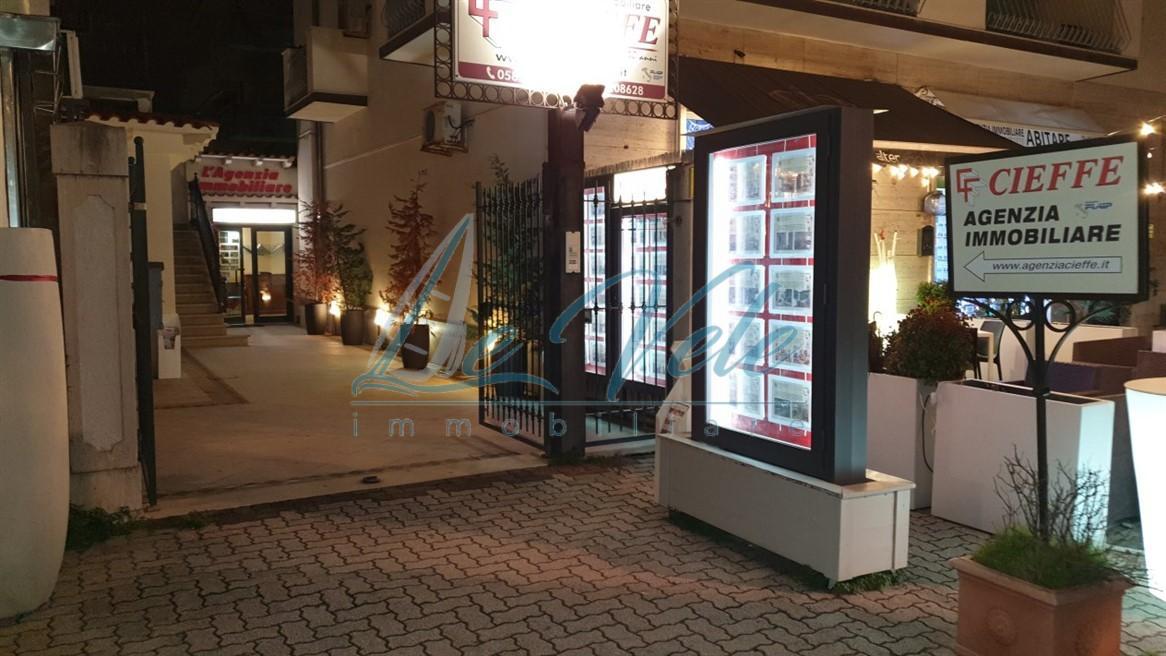 Immagine 7 di Terreno agricolo in vendita  a Massa