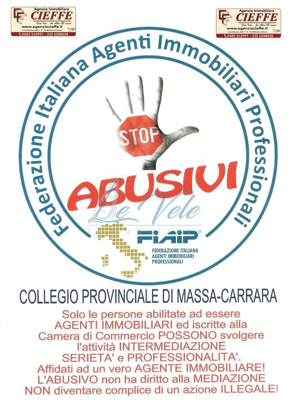 Immagine 9 di Terreno agricolo in vendita  a Massa